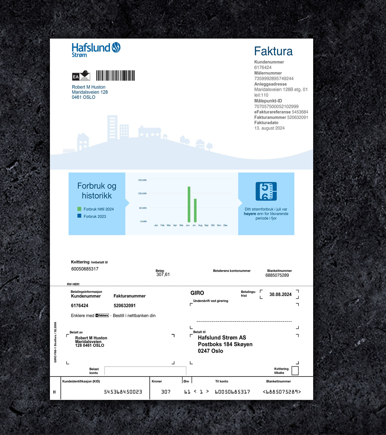 Hafslund Norway Utility Bill PDF Template - 2024 - Миниаютра nor_bill_1.jpg